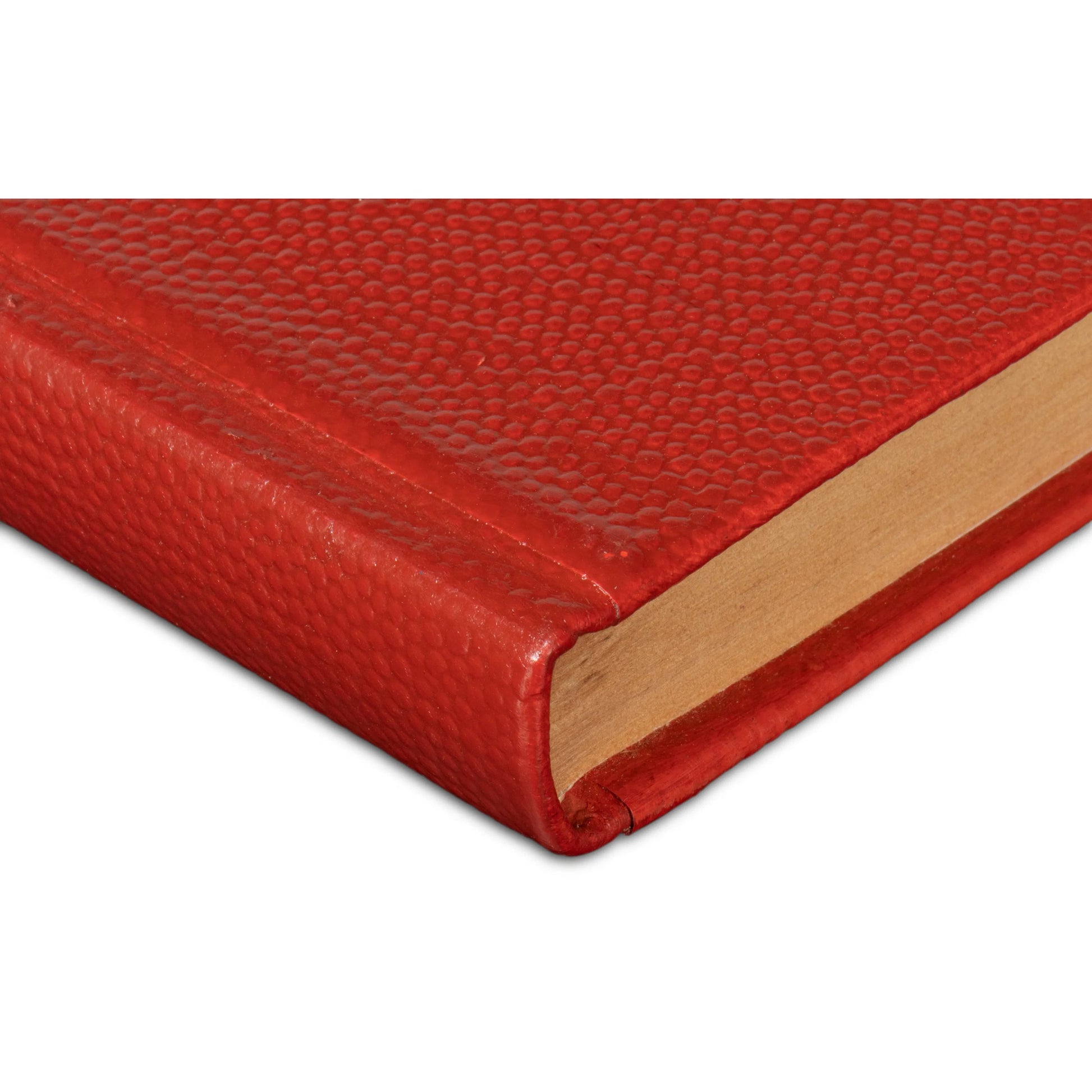 Shagreen Books by Sarreid Ltd.. Made from shagreen leather, paper in a eclectic & global style.