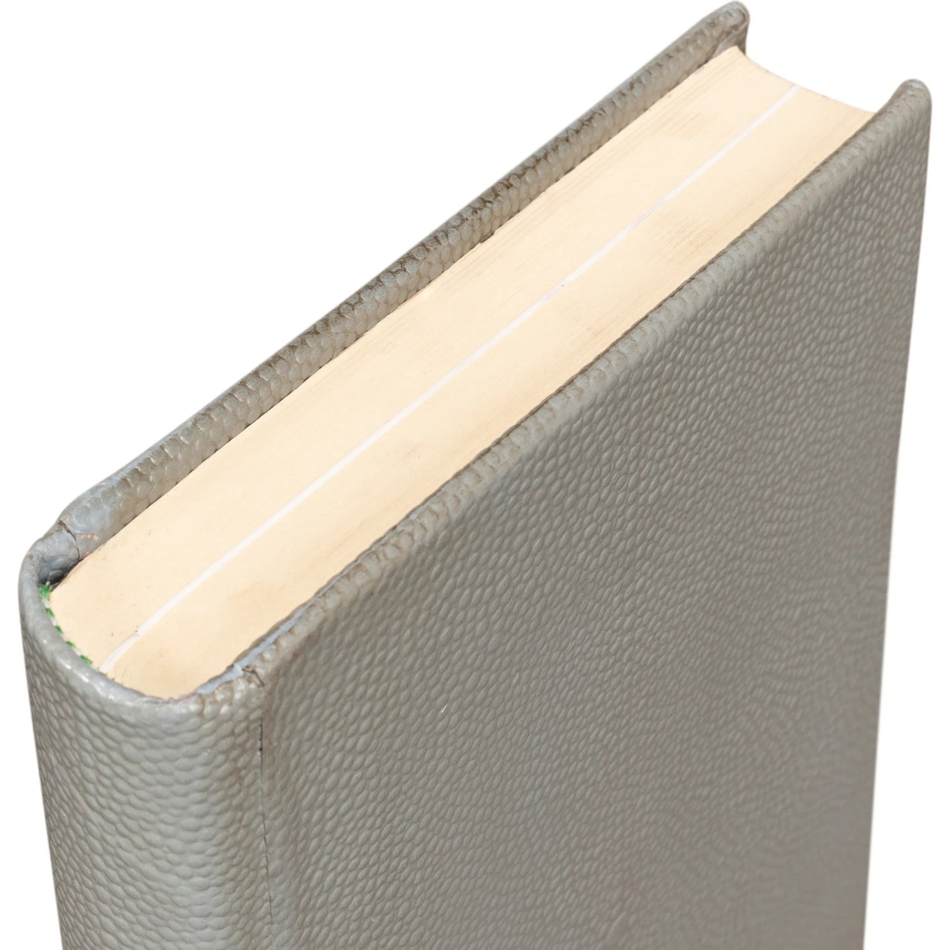 Shagreen Books by Sarreid Ltd.. Made from shagreen leather, paper in a eclectic & global style.