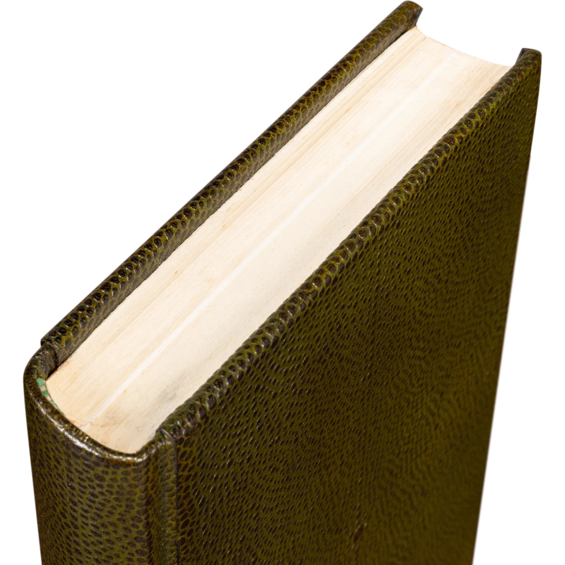 Shagreen Books by Sarreid Ltd.. Made from shagreen leather, paper in a eclectic & global style.