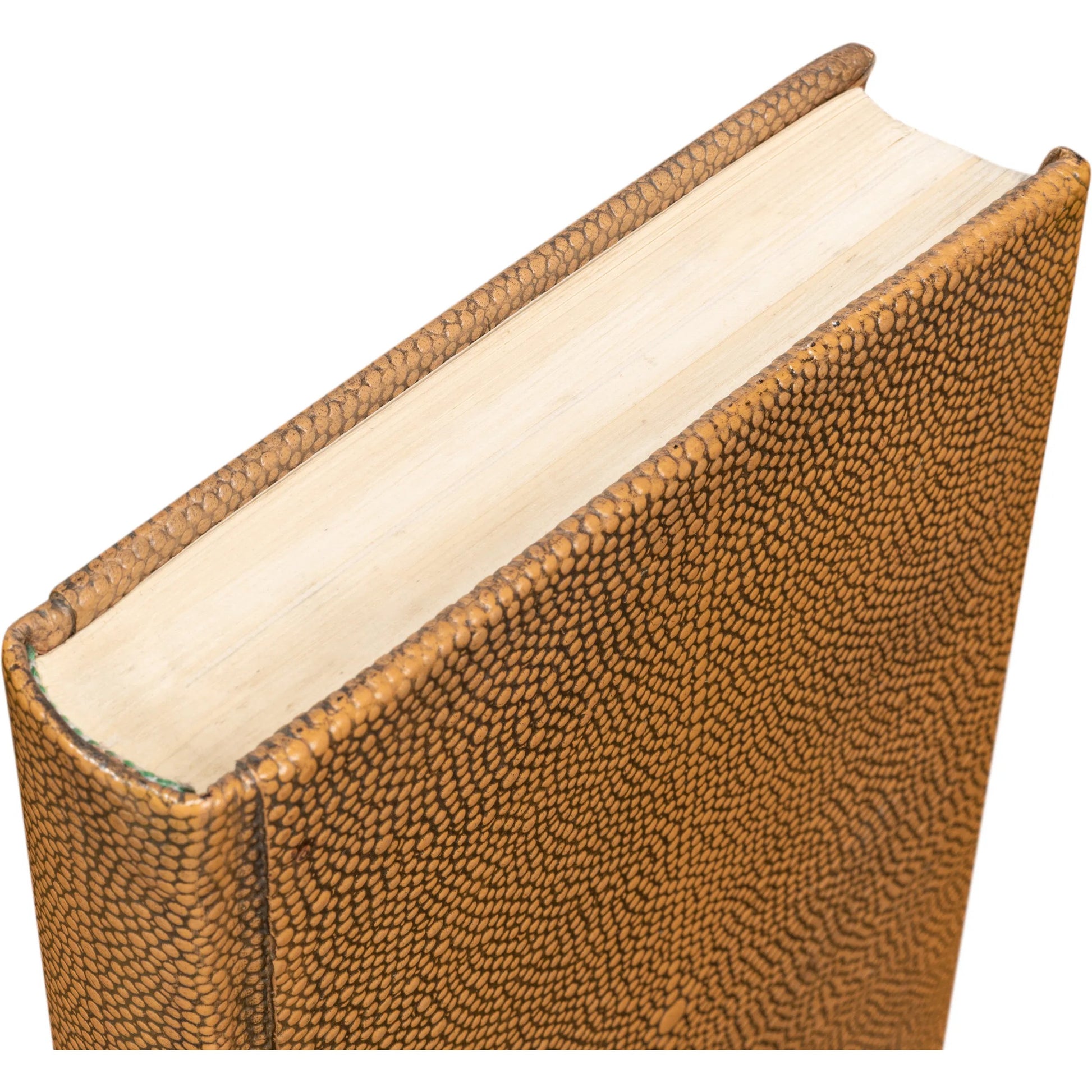 Shagreen Books by Sarreid Ltd.. Made from shagreen leather, paper in a eclectic & global style.