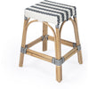 White and Navy Stripe