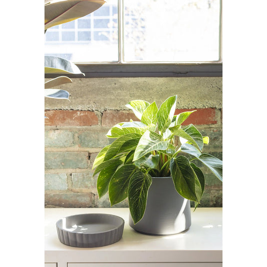 Kadin Pot with Saucer by Accent Decor. Made from ceramic in a cottage & farmhouse style.