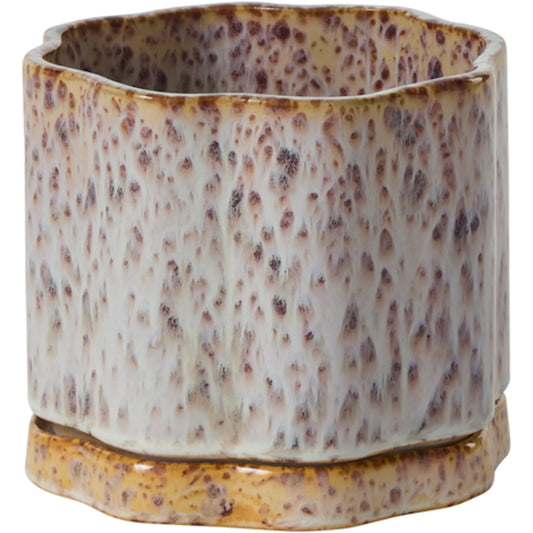 Avenell Pot with Saucer by Accent Decor in multicolor. Made from ceramic in a unique style.