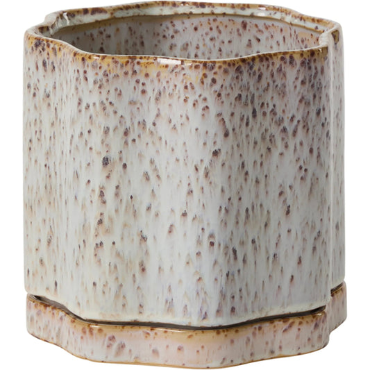 Avenell Pot with Saucer by Accent Decor in multicolor. Made from ceramic in a unique style.