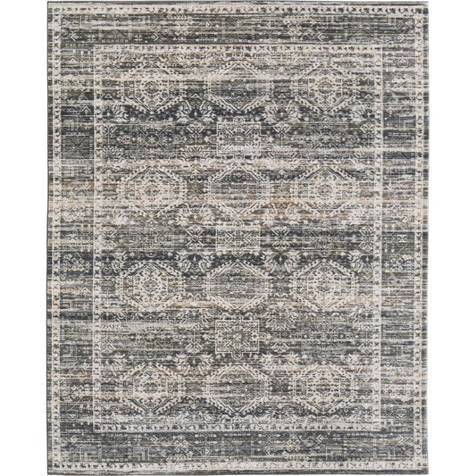 Augustine Traditional AUG39TUF Rug by Feizy. Made from polypropylene, polyester in a unique style.