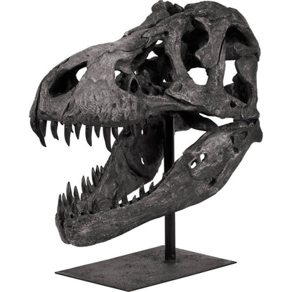 Lagrane Tyrannosaurus T Rex Dinosaur Skull Replica by Mercana in black. Made from unique in a modern style.