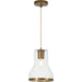 Alicia 1 Light Mini-Pendant by Varaluz. Made from steel, glass in a unique style.