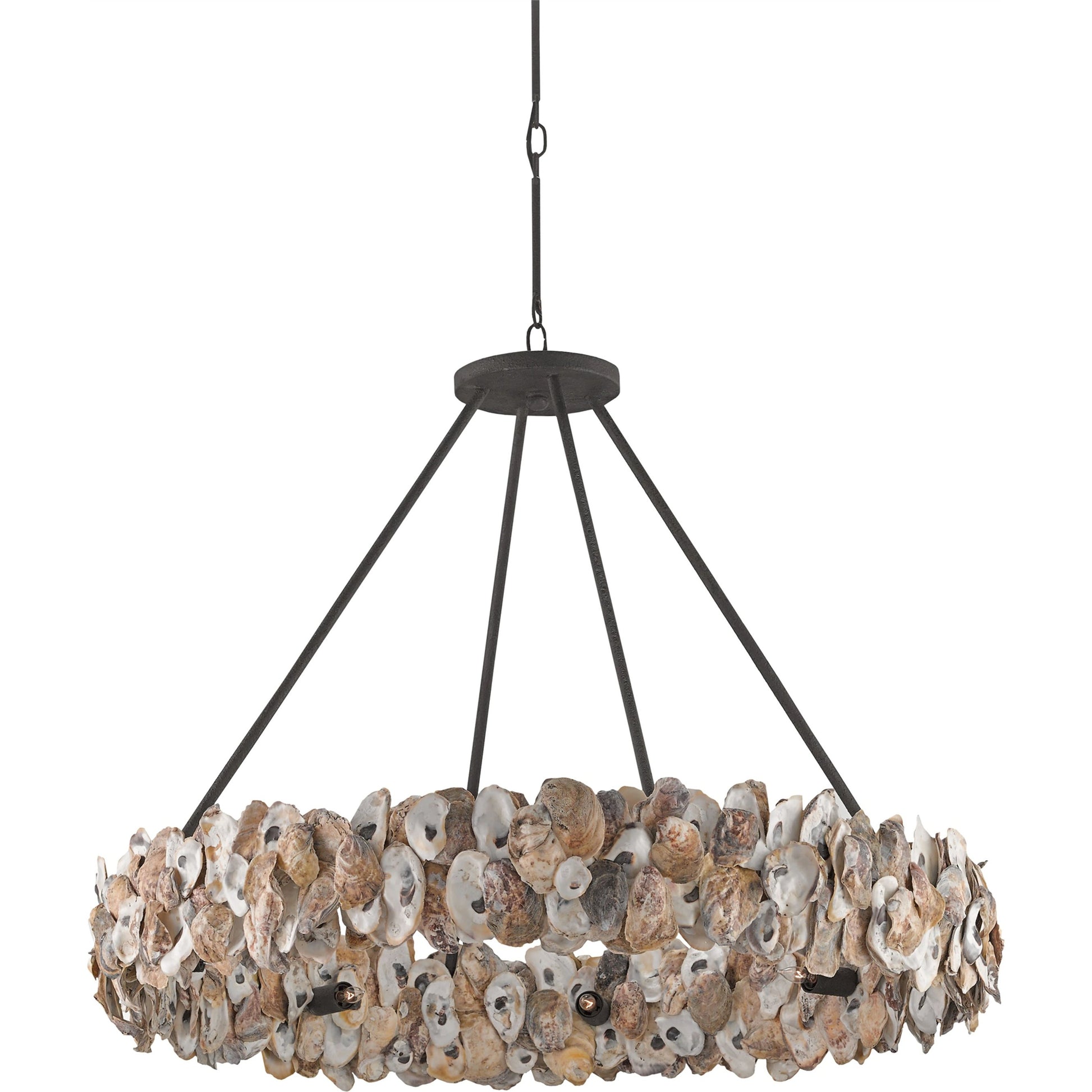 Oyster Circle Chandelier by Currey and Company in textured bronze, natural. Made from wrought iron, oyster shell in a coastal style.