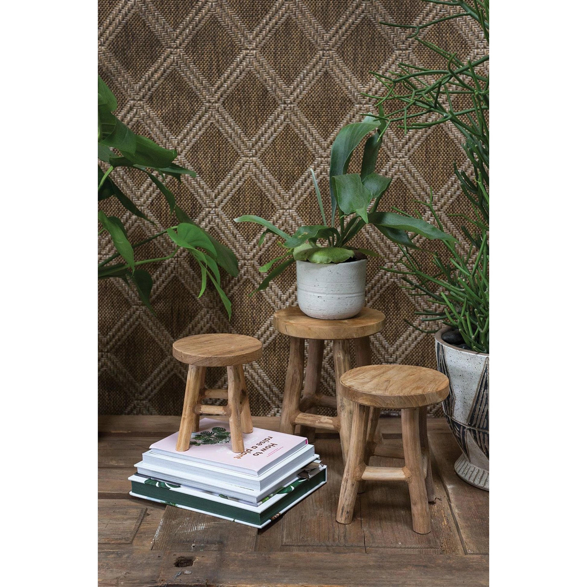 Cobble Stand by Accent Decor in natural. Made from wood in a modern style.