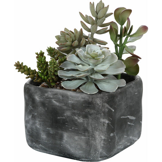 Alverio Desert Garden Succulents by Uttermost. Made from plastic, iron, glue, soil, cement in a cottage & farmhouse style.