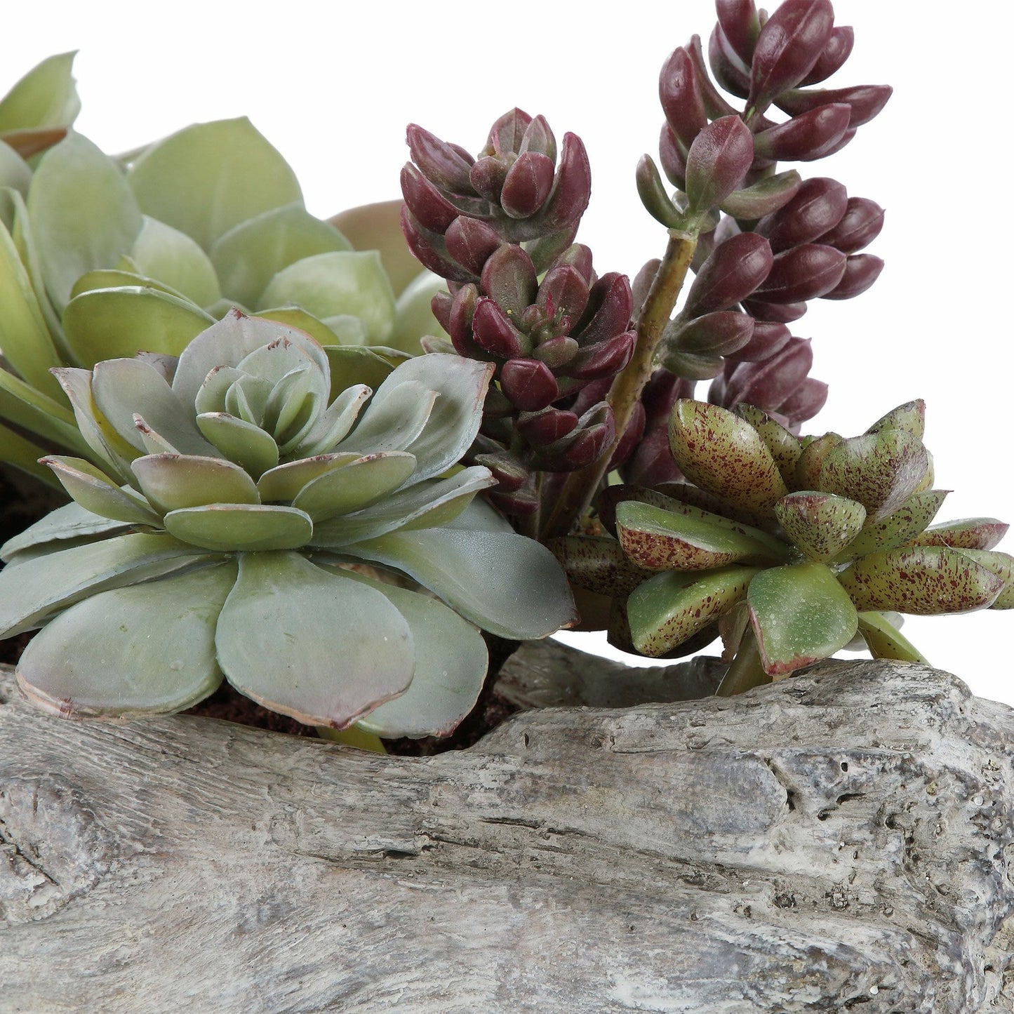 002 SR-801663 | Closeup | Charita Lush Succulents by Uttermost. Made from plastic, iron, glue, soil, cement in a cottage & farmhouse style.