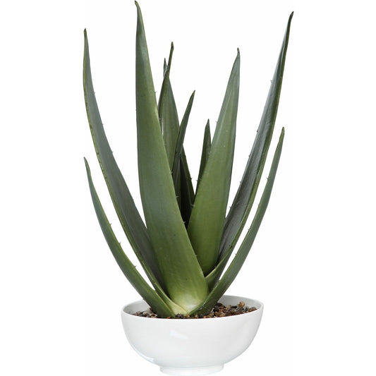 Evarado Aloe Planter by Uttermost. Made from polyfoam, resin, stone, iron, soil in a cottage & farmhouse style.