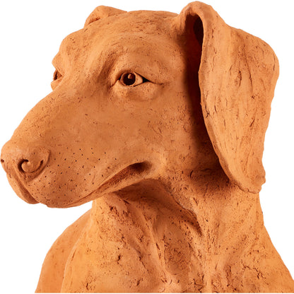 Rocky the Teckel by Currey and Company in natural. Made from terracotta in a cottage & farmhouse style.