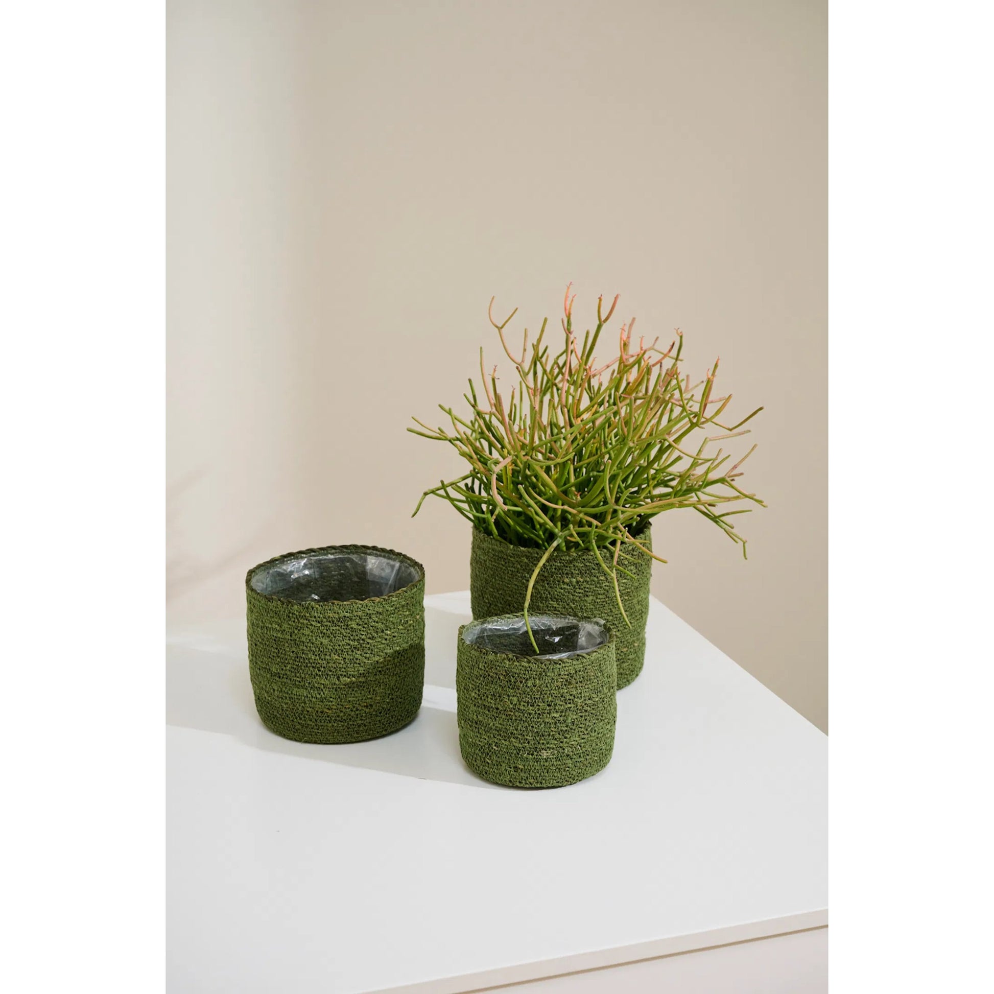 Inkberry Basket Set by Accent Decor. Made from natural fibers in a unique style.