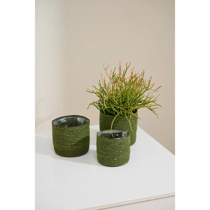 Inkberry Basket Set by Accent Decor. Made from natural fibers in a unique style.