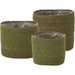 Inkberry Basket Set by Accent Decor. Made from natural fibers in a unique style.
