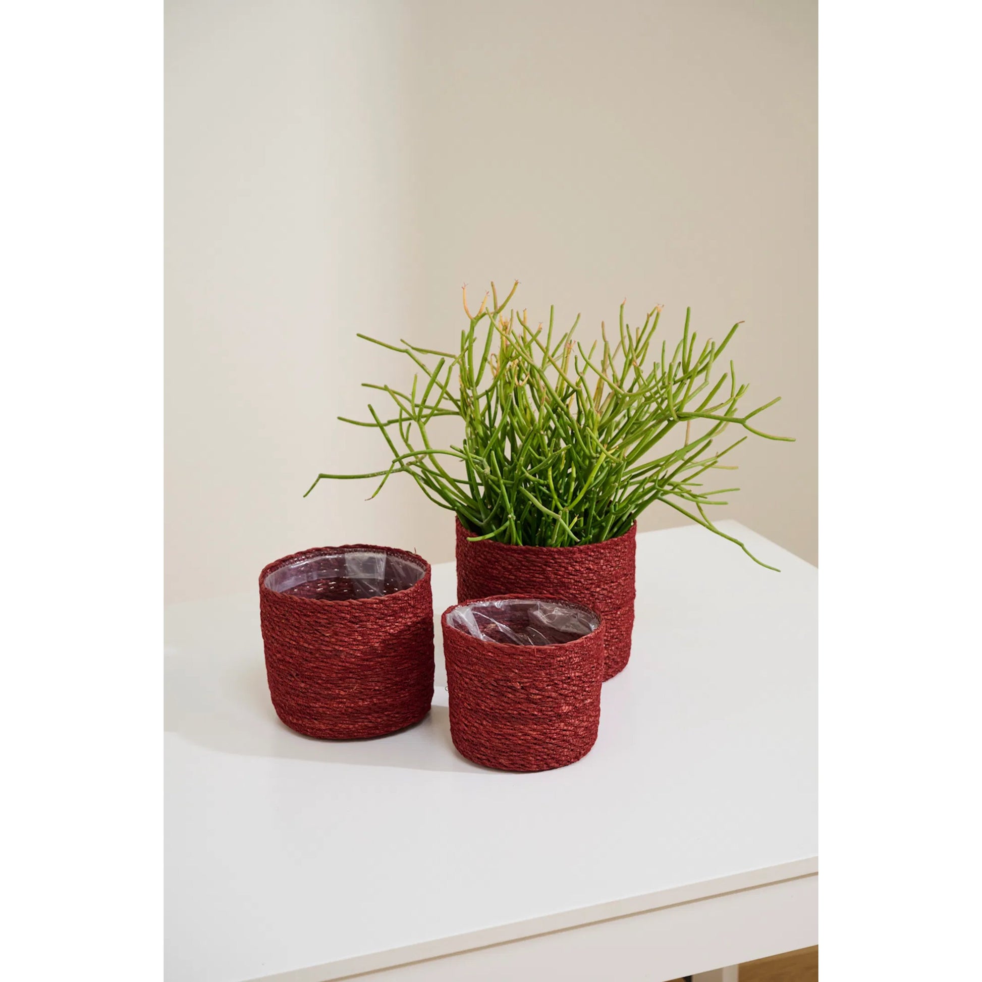 Inkberry Basket Set by Accent Decor. Made from natural fibers in a unique style.