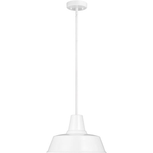 Barn Light One Light Outdoor Pendant by Visual Comfort & Co.. Made from aluminum in a unique style.