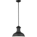 Fredricksburg One Light Outdoor Pendant by Visual Comfort & Co.. Made from aluminum in a unique style.