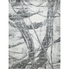 Silver, Black / 4' x 6'