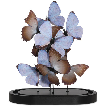 Rue De Bac Butterflies by Currey and Company. Made from paper, engineered wood, glass in a modern style.