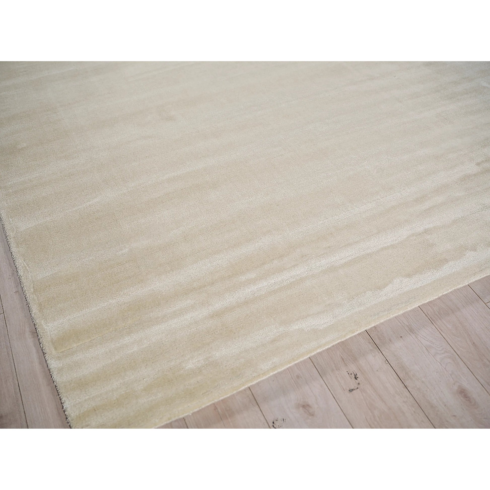 Velutto Modern 6541 Rug by Exquisite Rugs in light beige. Made from silky nylon in a unique style.
