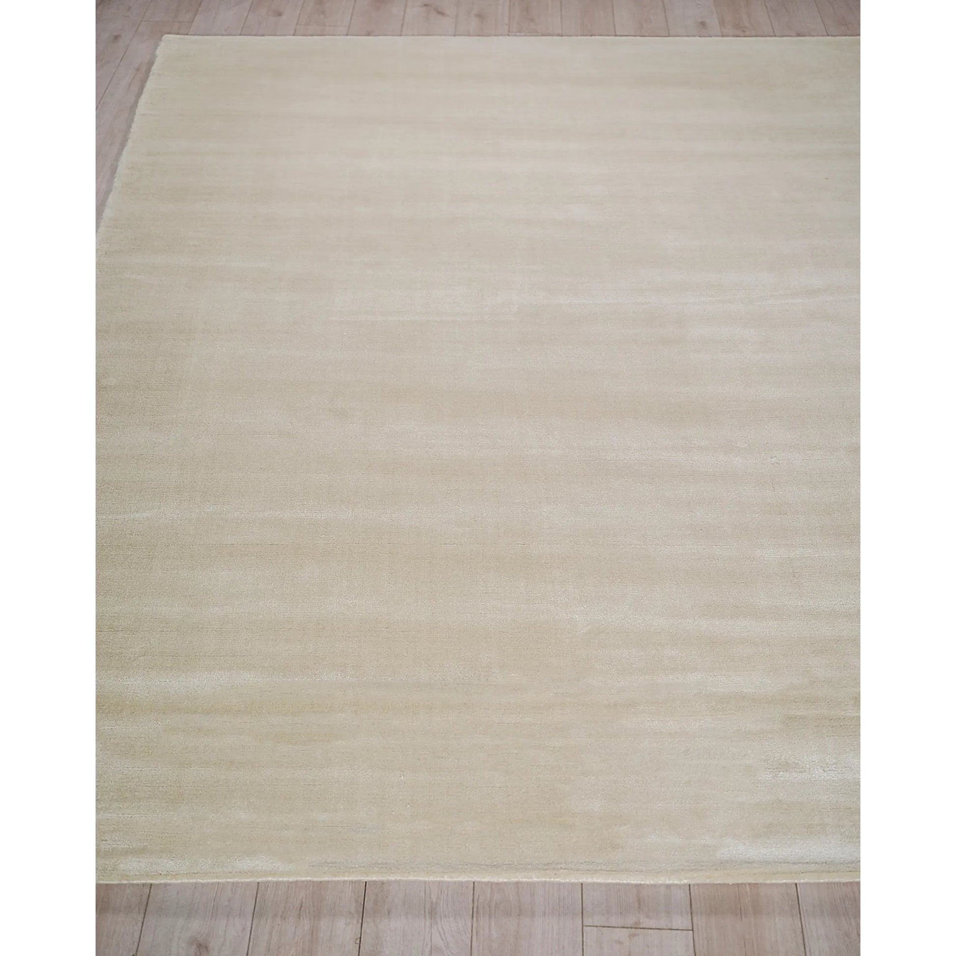 Velutto Modern 6541 Rug by Exquisite Rugs in light beige. Made from silky nylon in a unique style.