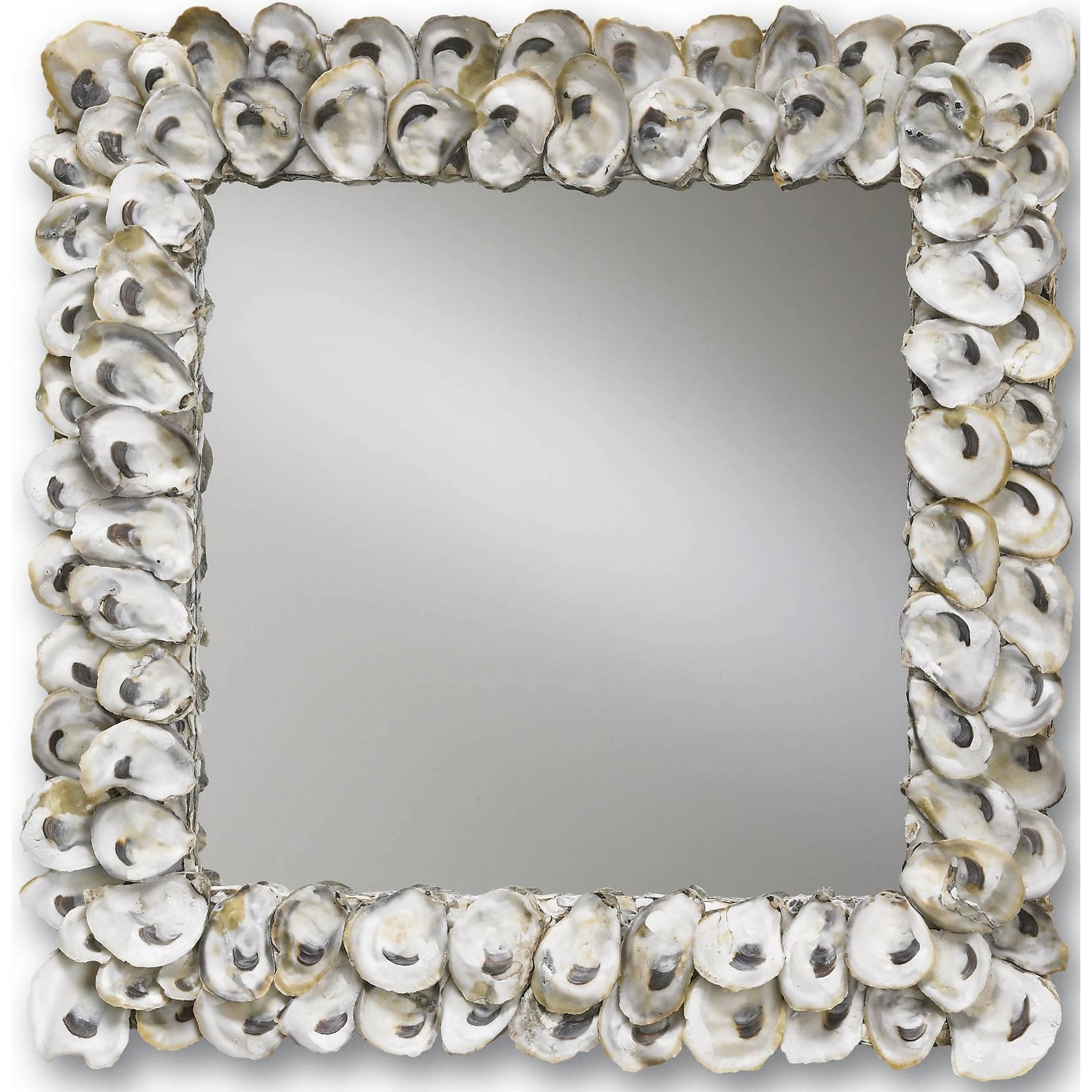 Oyster Shell Mirror by Currey and Company in natural shell. Made from wood, oyster shell, mirror in a coastal style.