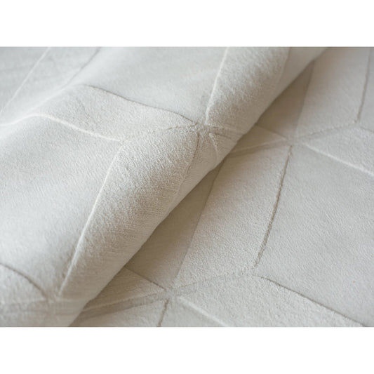 Brunello Modern 6735 Rug by Exquisite Rugs in white