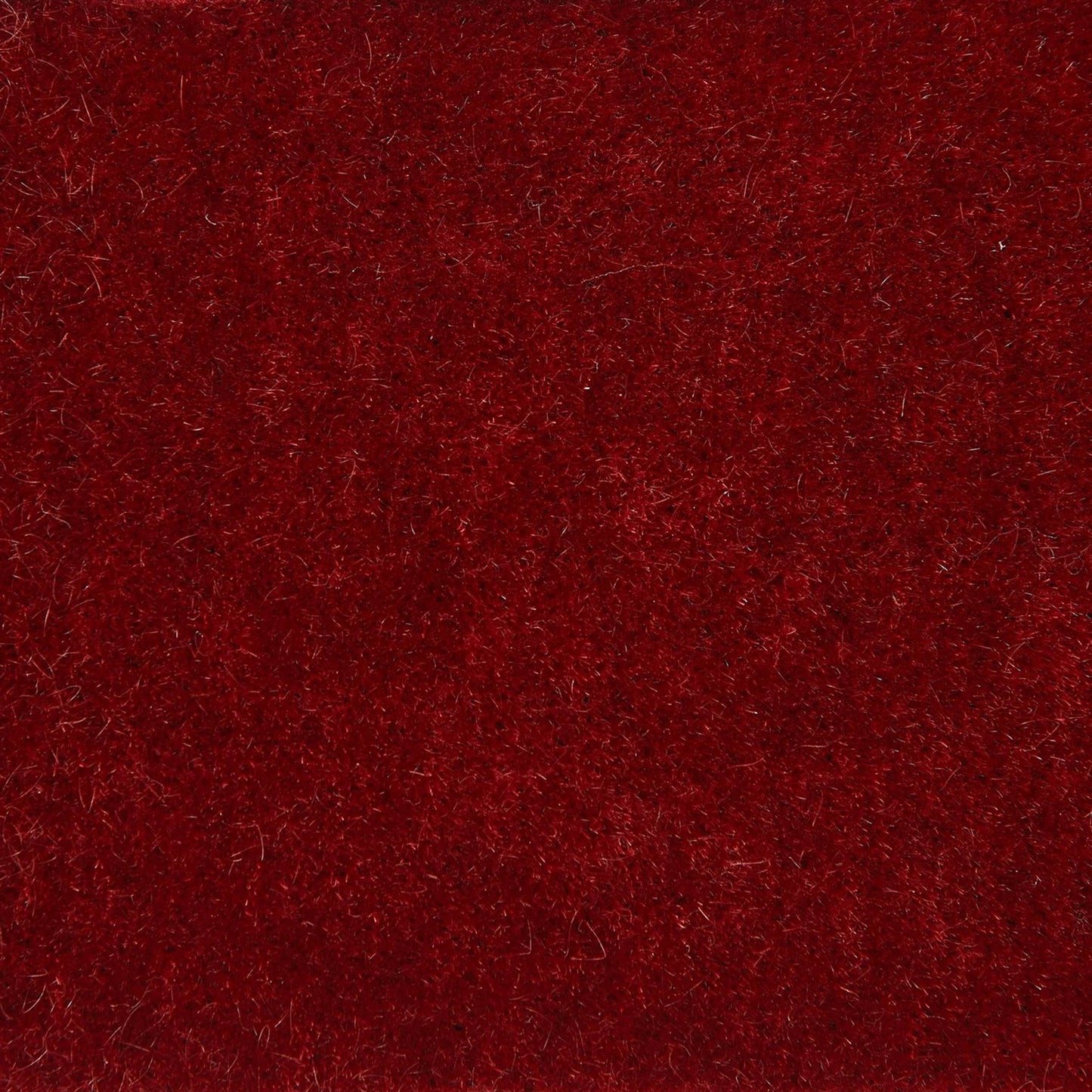 002 SI-2323858 | Closeup | Klismos Acrylic Chair by Global Views in red, clear and clear acrylic. Made from unique in a eclectic & global style.