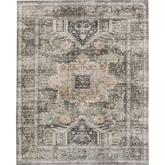 Augustine Traditional AUG39TVF Rug by Feizy. Made from polypropylene, polyester in a unique style.