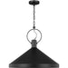 Lyon Large One Light Pendant by Visual Comfort & Co.. Made from steel in a unique style.