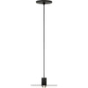 Nightshade Black