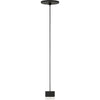 Nightshade Black