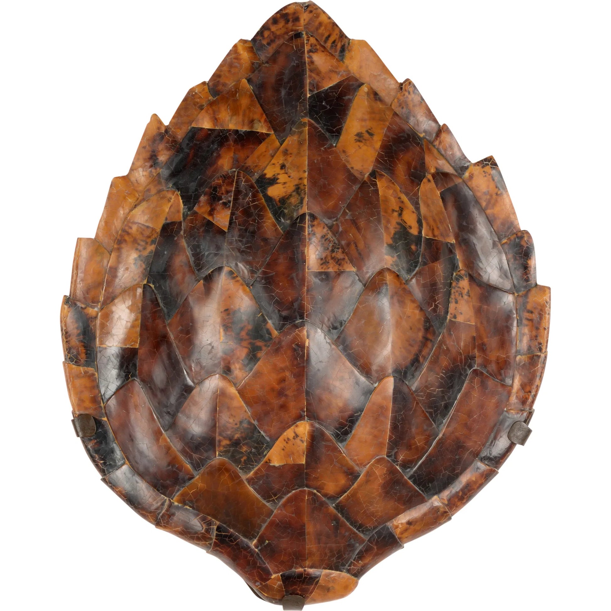 Penshell Sconce by Chelsea House in brown and penshell. Made from unique in a cottage & farmhouse style.