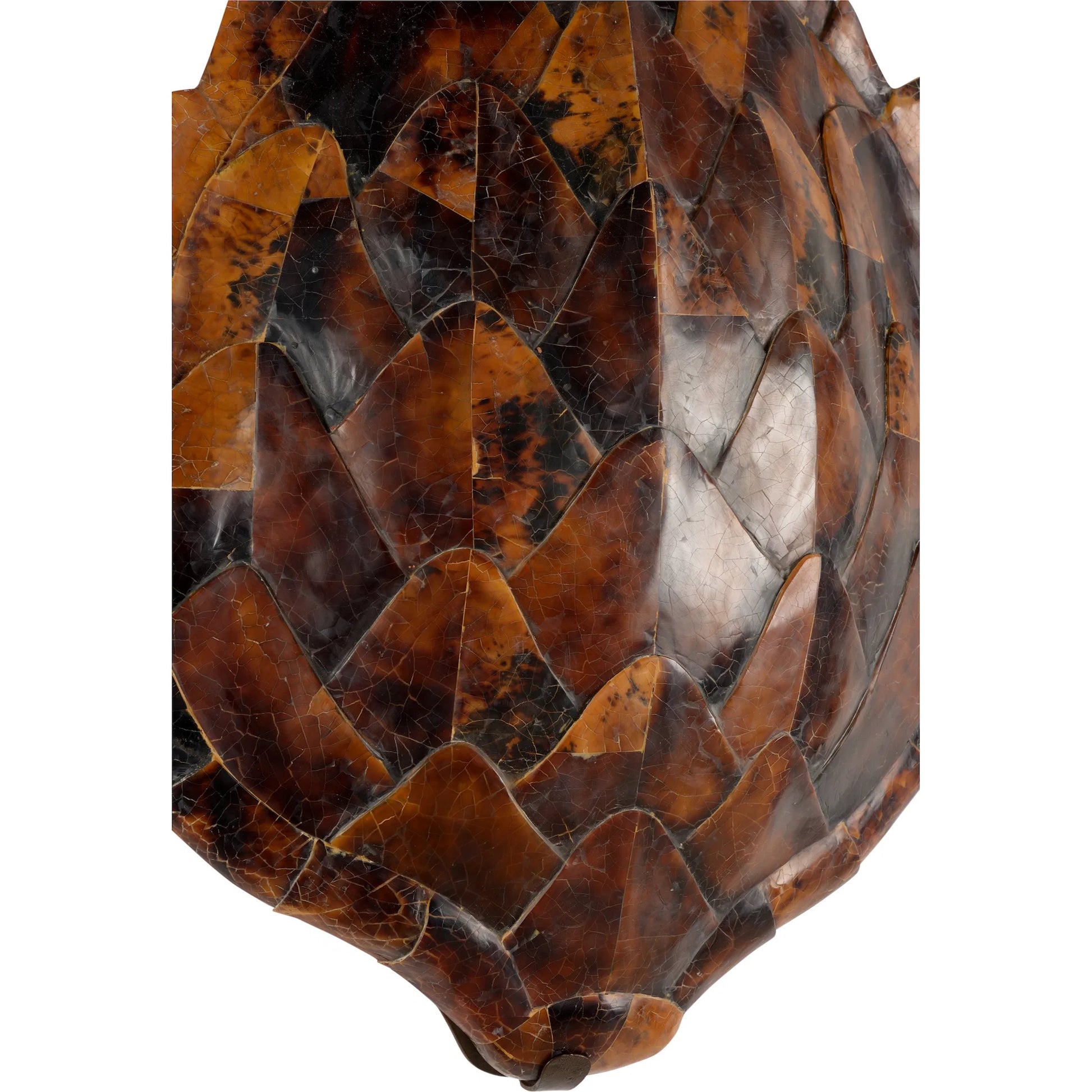Penshell Sconce by Chelsea House in brown and penshell. Made from unique in a cottage & farmhouse style.