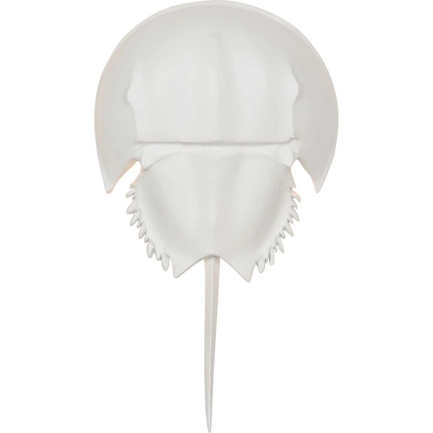 001 SI-2334852 | Additional Silo | Horseshoe Crab Sconce by Chelsea House in white and white. Made from unique in a modern style.