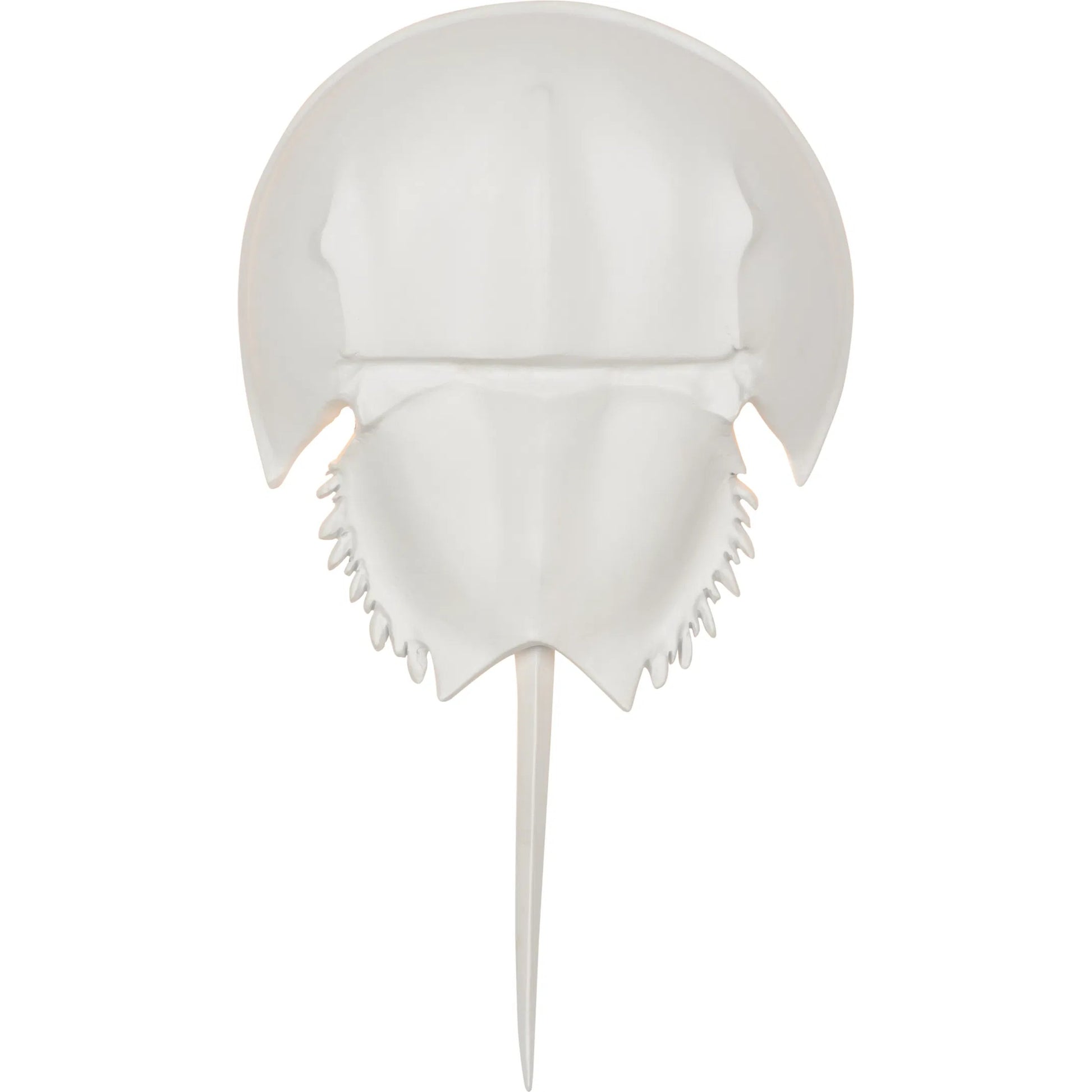Horseshoe Crab Sconce by Chelsea House in white and white. Made from unique in a modern style.