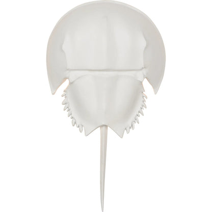Horseshoe Crab Sconce by Chelsea House in white and white. Made from unique in a modern style.