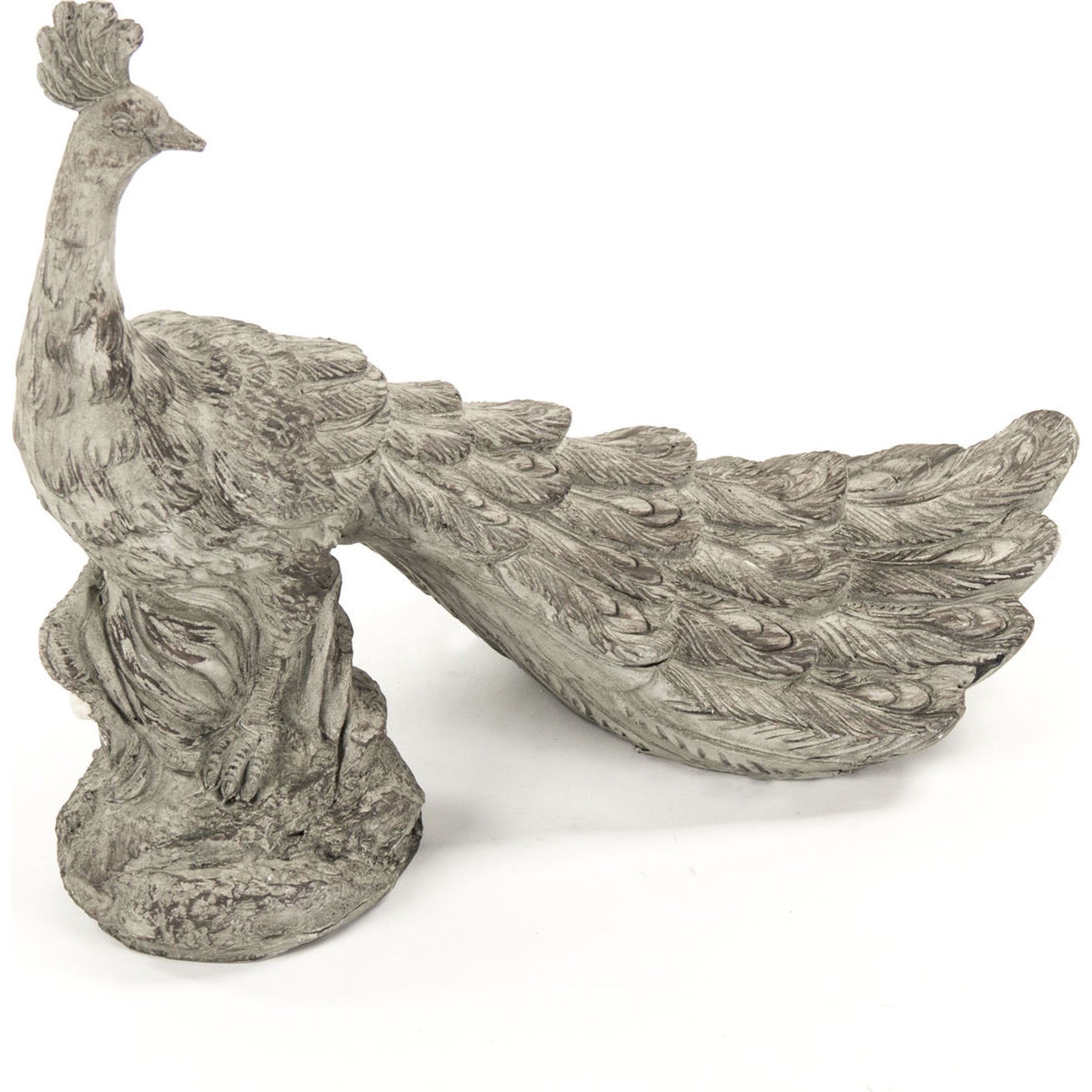 Resin Peacock Statue by Zentique in gray with white wash and resin. Made from resin in a cottage & farmhouse style.