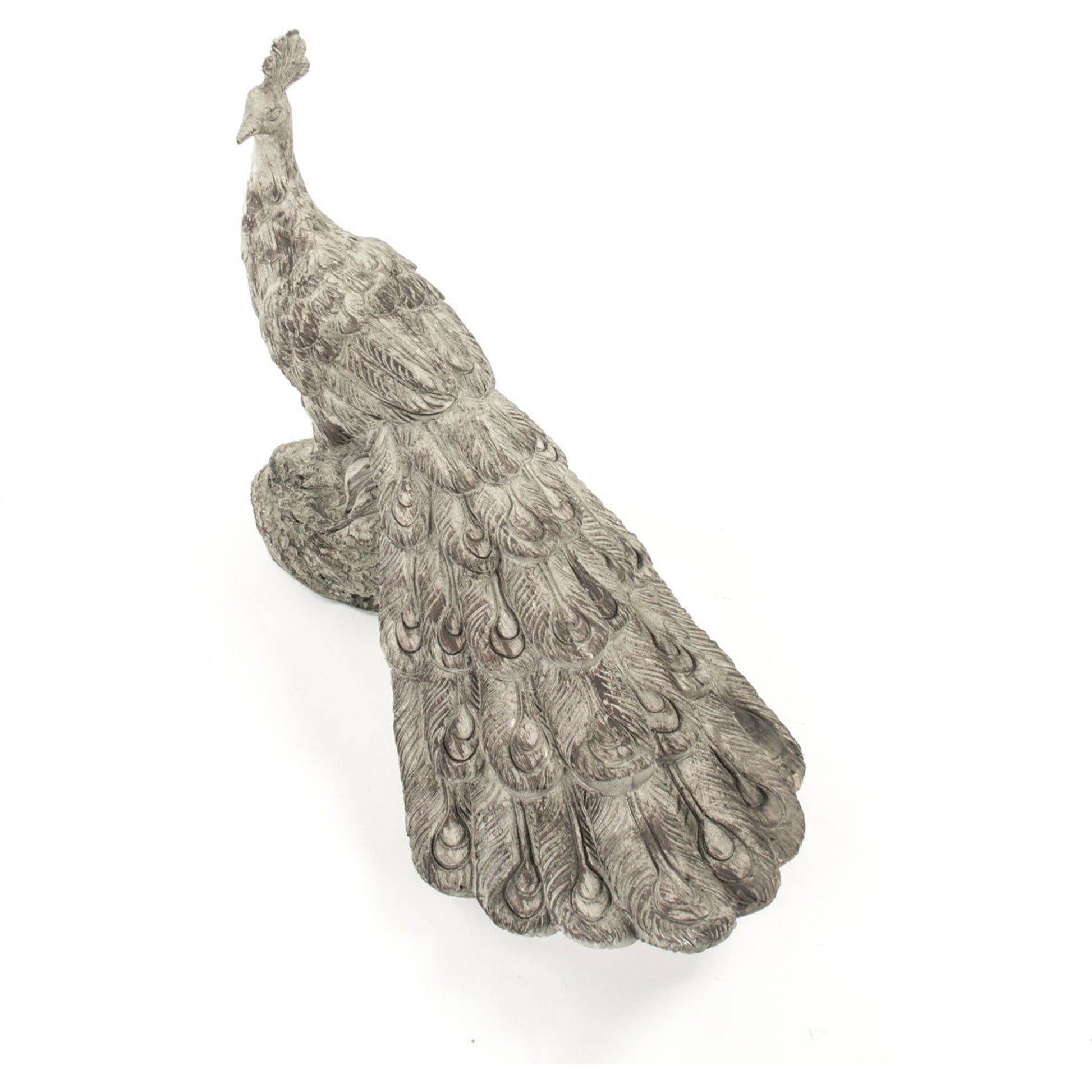 Resin Peacock Statue by Zentique in gray with white wash and resin. Made from resin in a cottage & farmhouse style.