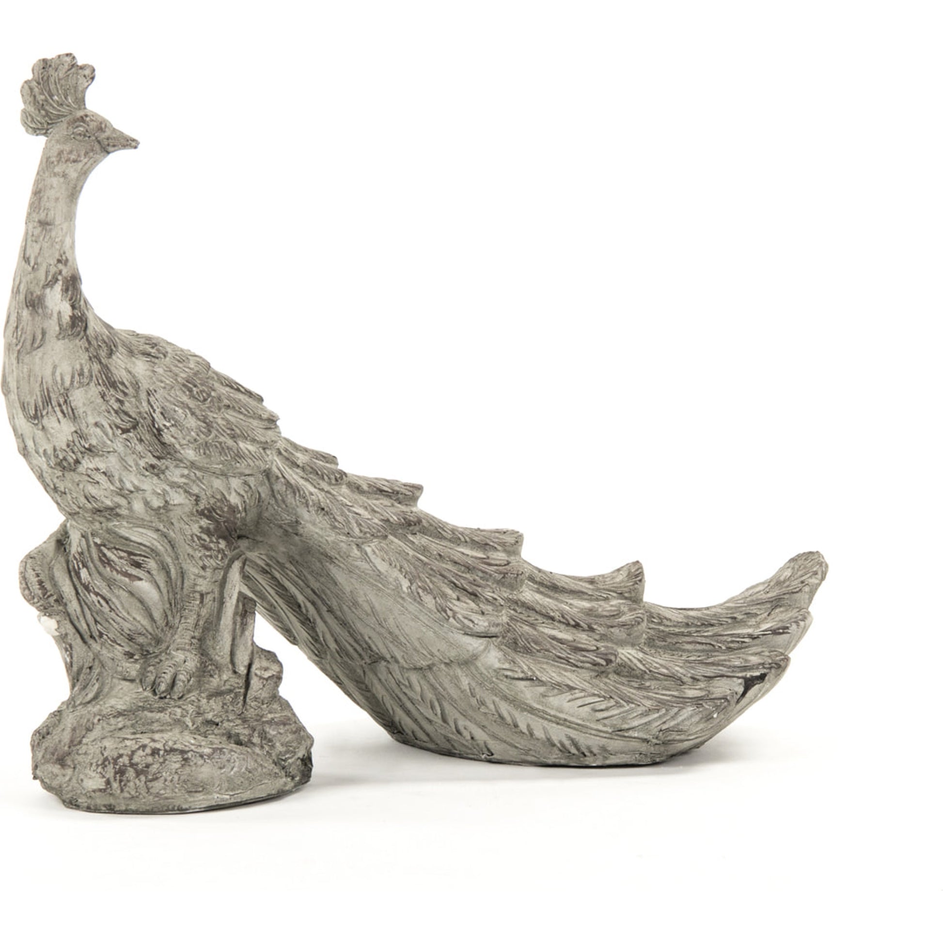 Resin Peacock Statue by Zentique in gray with white wash and resin. Made from resin in a cottage & farmhouse style.