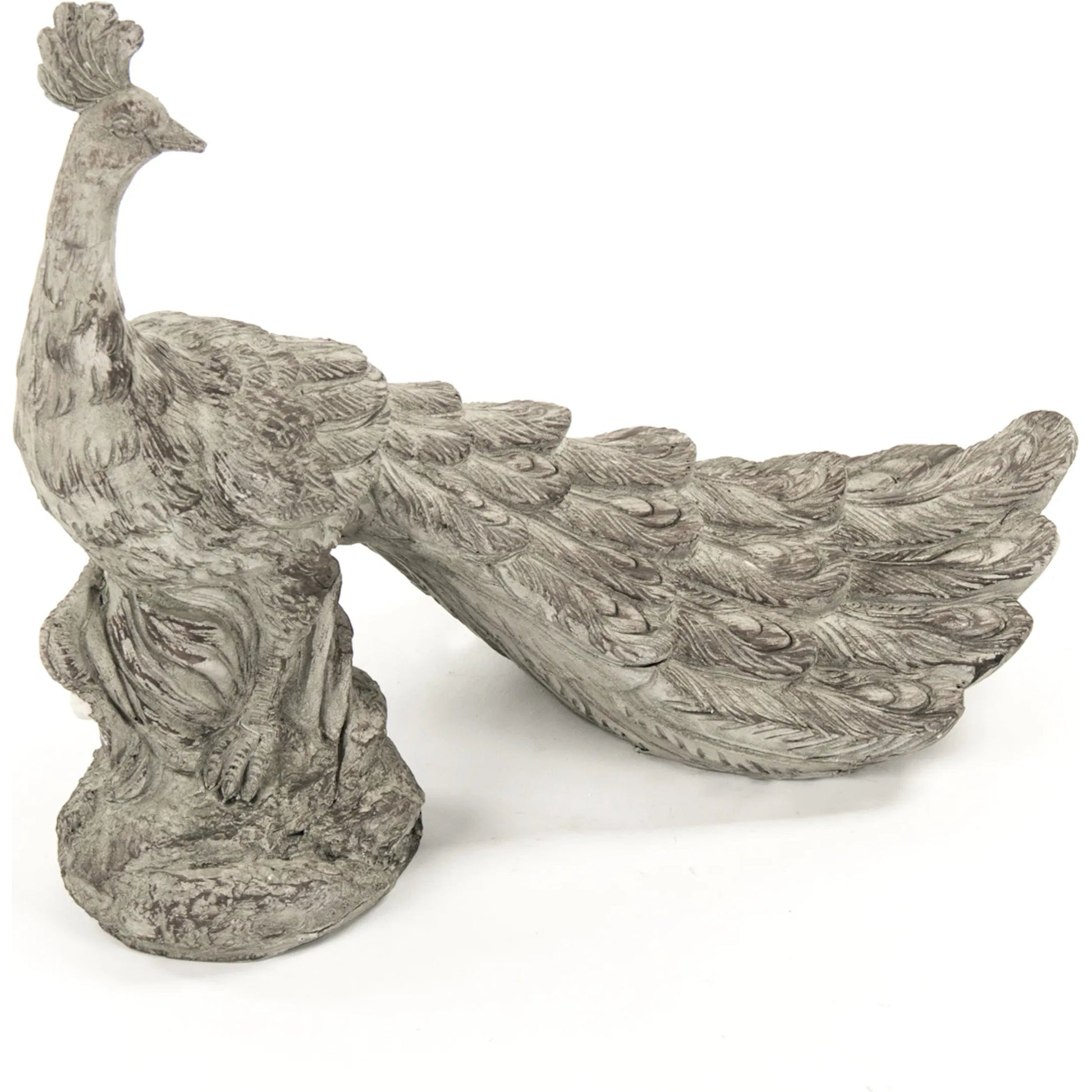 Resin Peacock Statue by Zentique in gray with white wash and resin. Made from resin in a cottage & farmhouse style.