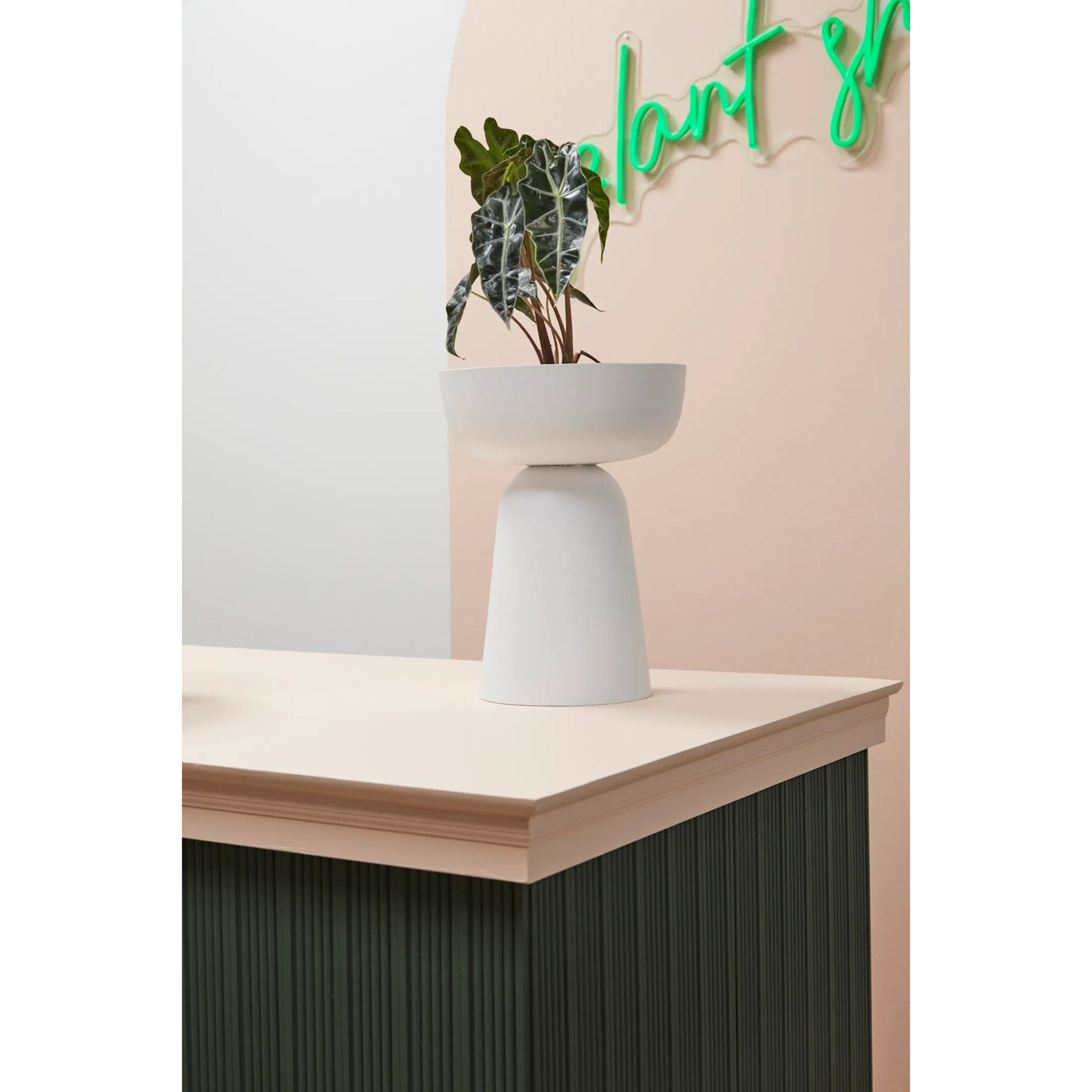 Rize Footed Bowl by Accent Decor in white. Made from metal in a modern style.