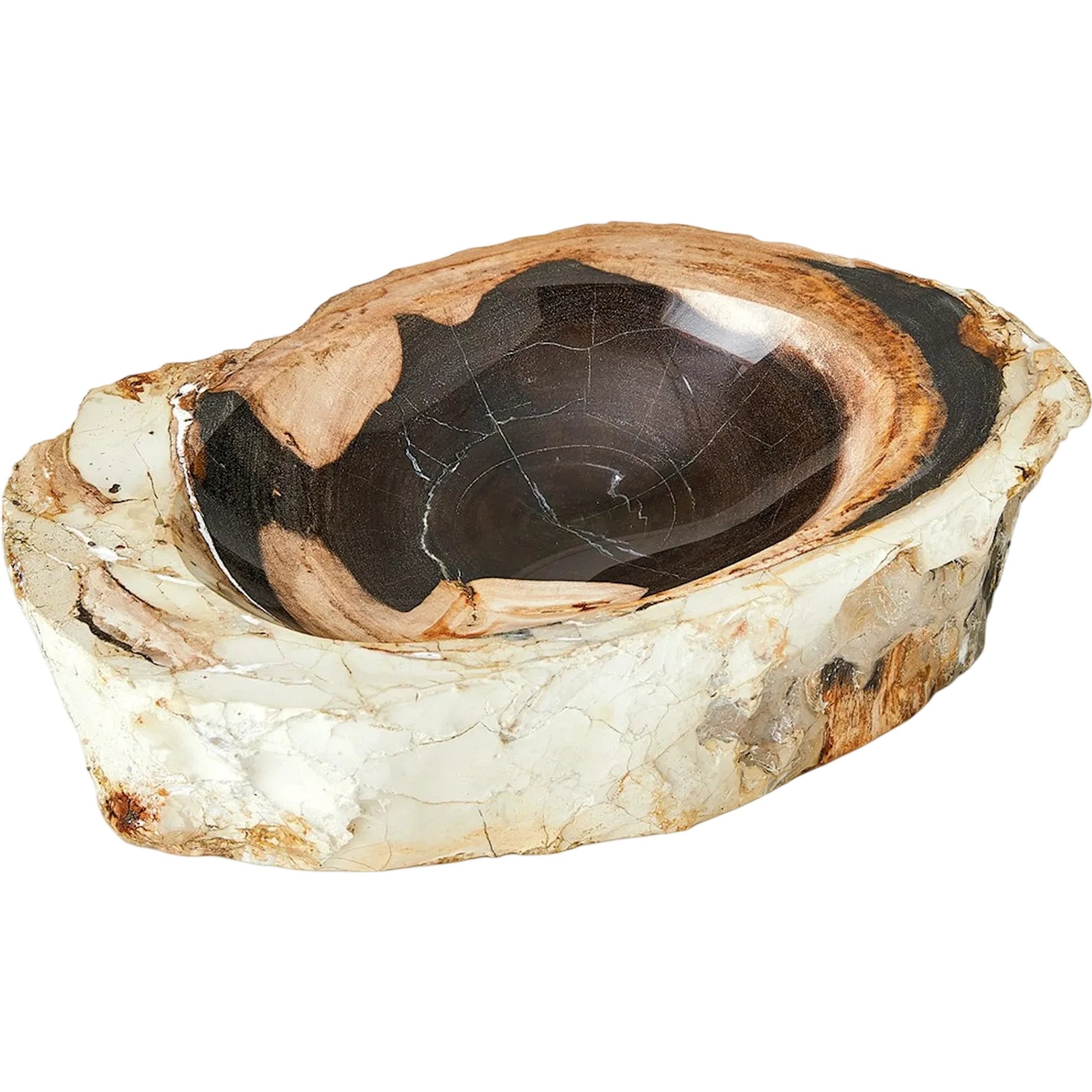 Petrified Bowl by Global Views. Made from unique in a cottage & farmhouse style.