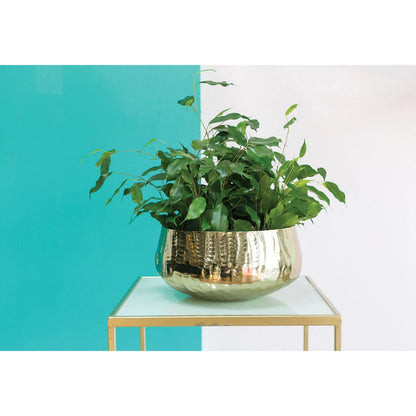 Roberi Bowl by Accent Decor in gold. Made from metal in a modern style.