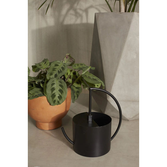 Radius Watering Can by Accent Decor in black. Made from metal in a modern style.