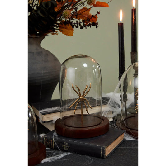 Specimen Cloche Spider by Accent Decor in clear. Made from glass in a unique style.