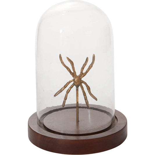 Specimen Cloche Spider by Accent Decor in clear. Made from glass in a unique style.