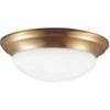 Satin Brass